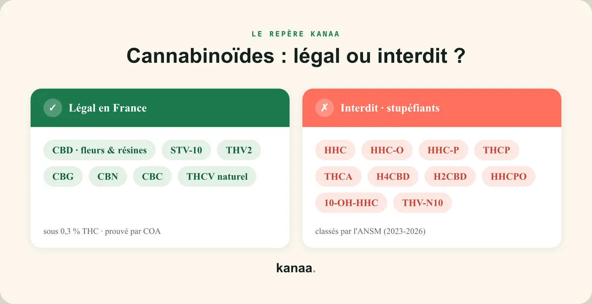 Cannabinoïdes légaux en France (CBD, STV-10, THV2, CBG, CBN, CBC) face aux cannabinoïdes interdits (HHC, HHC-O, THCP, H4CBD, THV-N10).