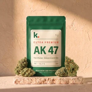 AK 47