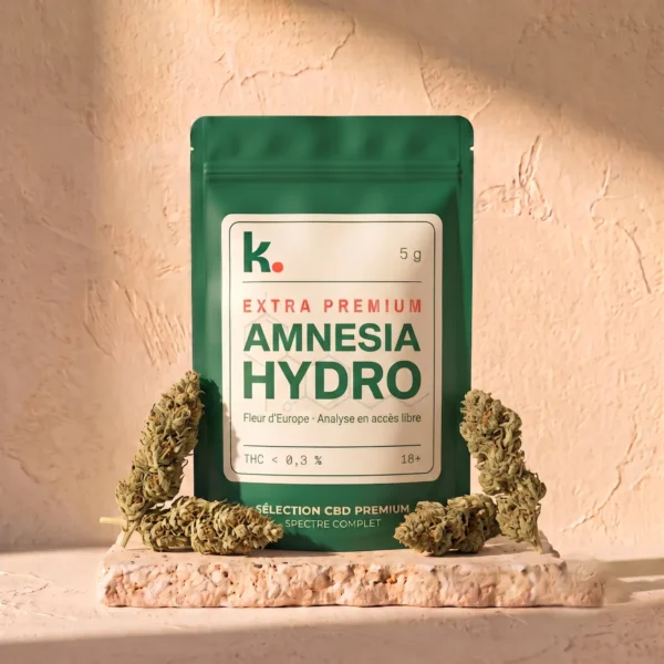 Amnesia Hydro