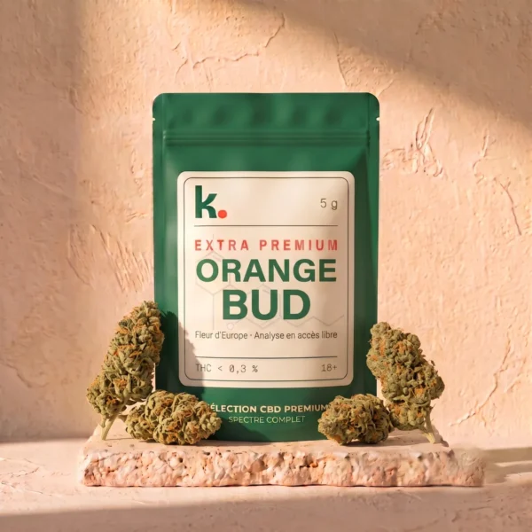 Orange Bud