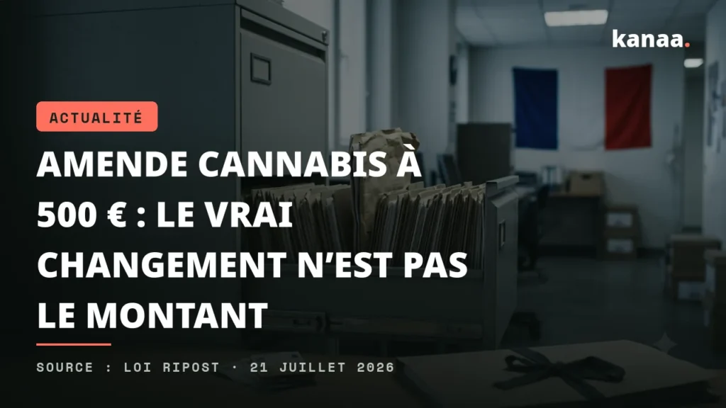 Illustration éditoriale de la loi RIPOST et de l'amende forfaitaire pour usage de stupéfiants