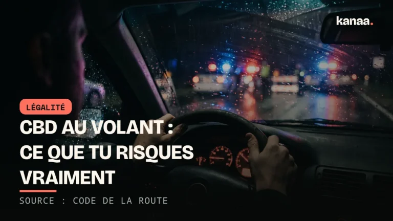 CBD au volant : ce que tu risques vraiment