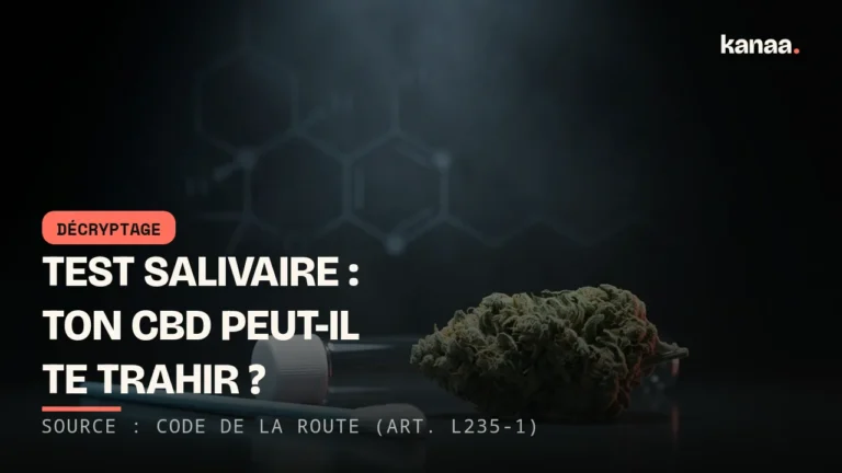 CBD et test salivaire : risques-tu un dépistage positif ?