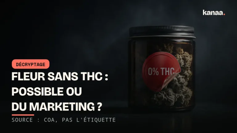 Fleur de CBD « sans THC » : c’est possible, ou c’est du marketing ?
