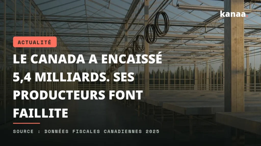Le Canada a encaissé 5,4 milliards. Ses producteurs font faillite