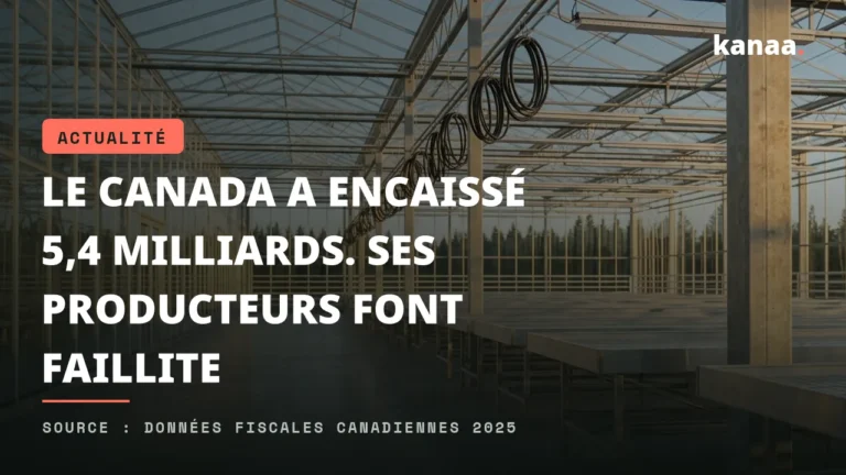 Le Canada a encaissé 5,4 milliards. Ses producteurs font faillite
