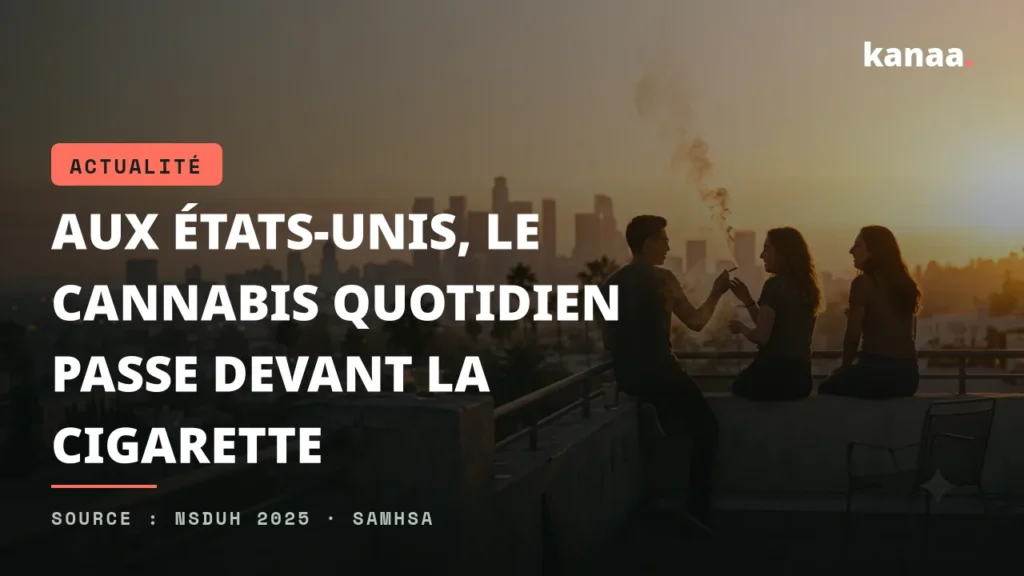 Illustration éditoriale comparant l'usage quotidien de cannabis aux États-Unis et en France
